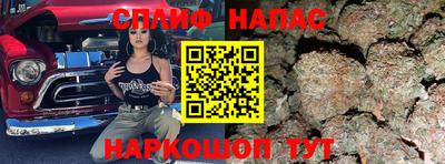 сатива Конаково