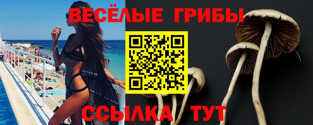 Галлюциногенные грибы Magic Shrooms  Вход с VPN  Коркино 